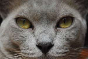 ????????????????????????????????????